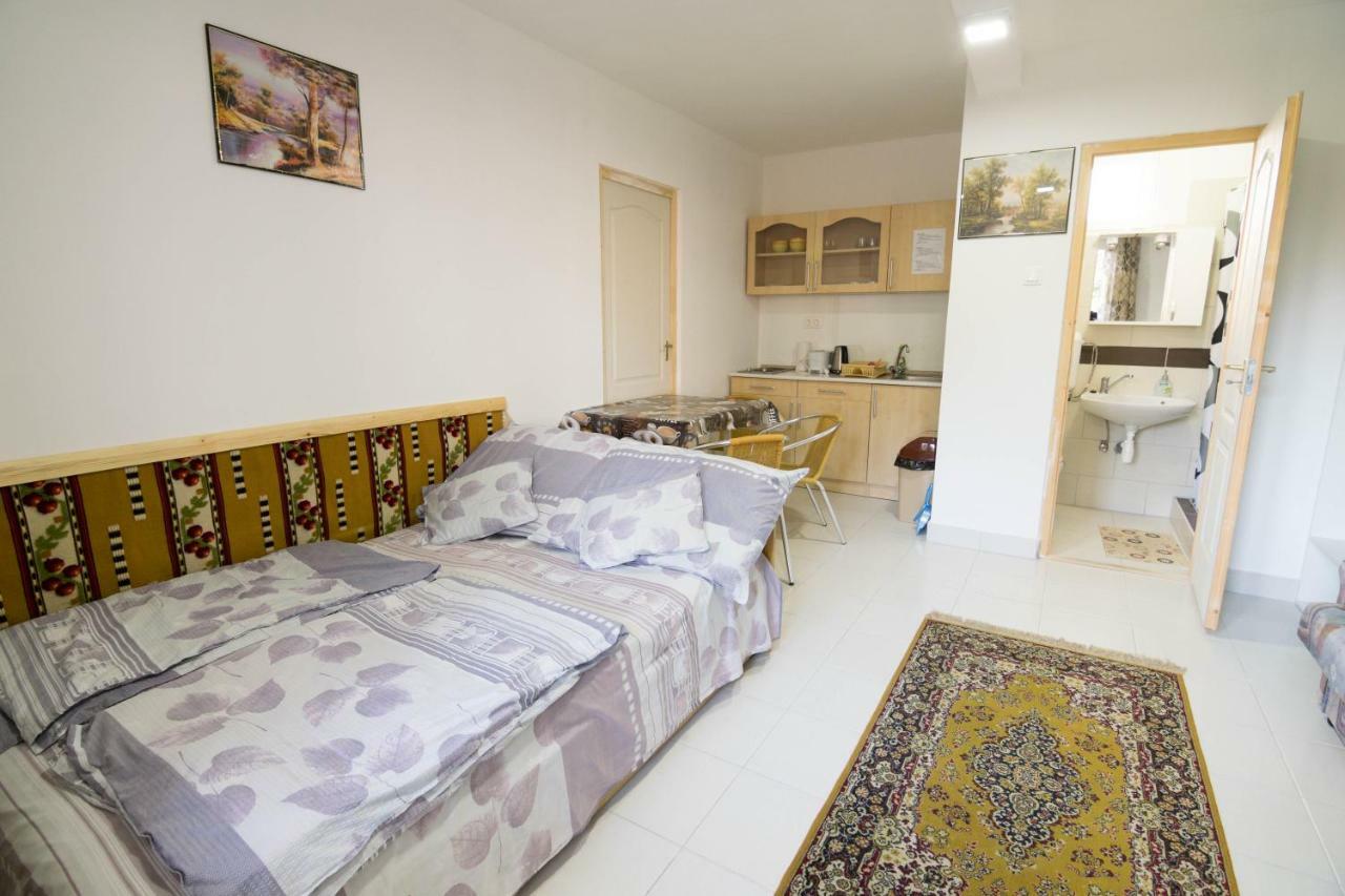Villa Viktoria Nyíregyháza Exteriér fotografie